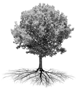 AI automation and specialist support icon showing business efficiency